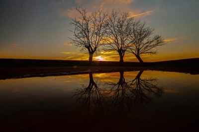 Pedro Perdigão | Photography