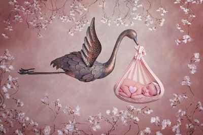 Pamela Lima Fotografia